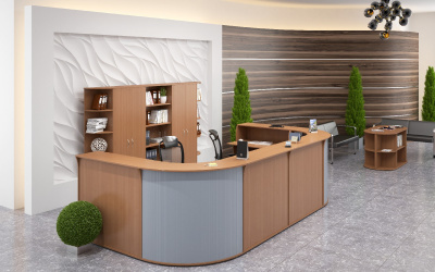 Ресепшн Imago