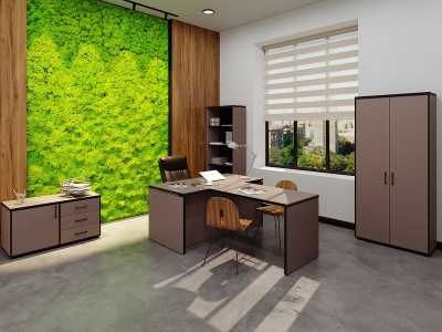 Кабинет руководителя Либерти / Liberty