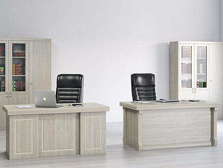 Кабинет руководителя Берн / Bern