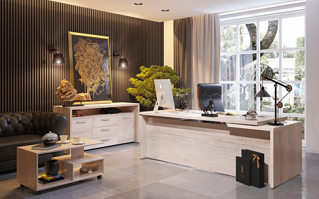 Кабинет руководителя Torr-Z