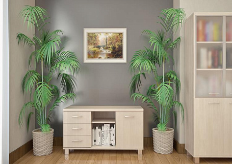 Кабинет руководителя Фёст / First