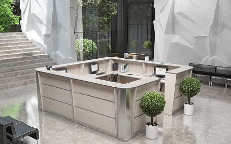 Ресепшн Rapid