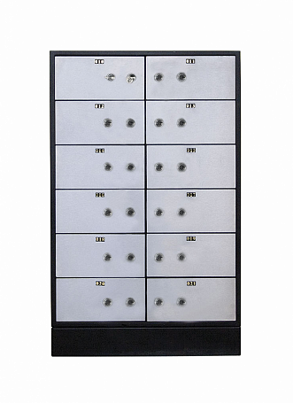 Блок депозитных ячеек Valberg DB-12S.DGL
