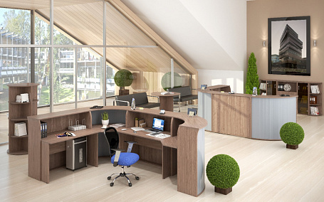 Ресепшн Imago