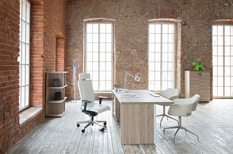 Кабинет руководителя Terra