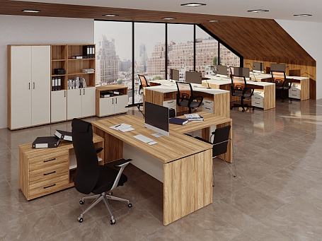 Кабинет руководителя Велес Директ