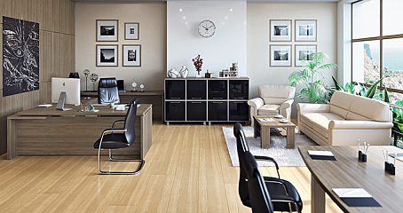 Кабинет руководителя Ялта / Yalta