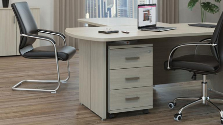 Кабинет руководителя Бонн / Bonn