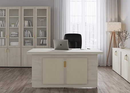 Кабинет руководителя Чикаго / Chicago