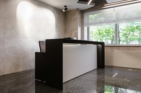 Ресепшн Extra Long